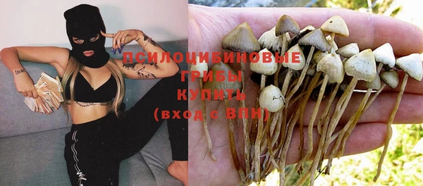 спиды Гусиноозёрск