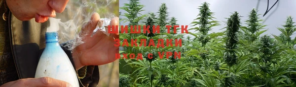 кристаллы Гусь-Хрустальный